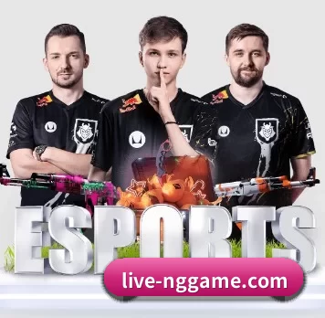 NG体育App APP 界面